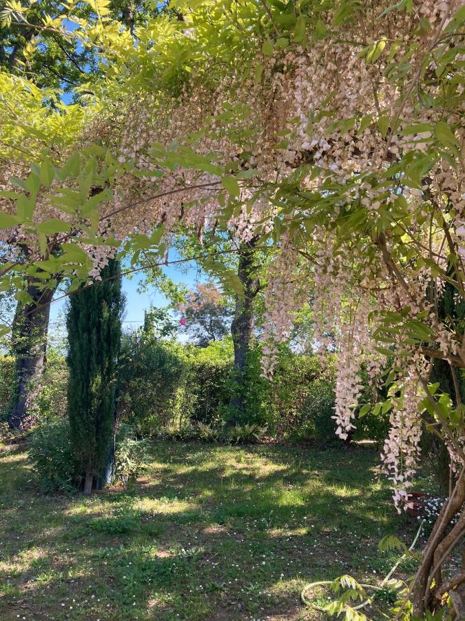 Tenuta Poggio Alla Farnia Fauglia Exterior foto