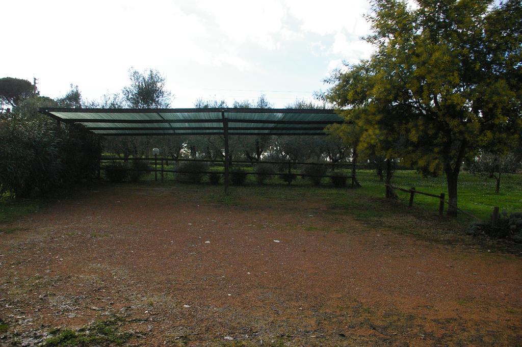 Tenuta Poggio Alla Farnia Fauglia Exterior foto